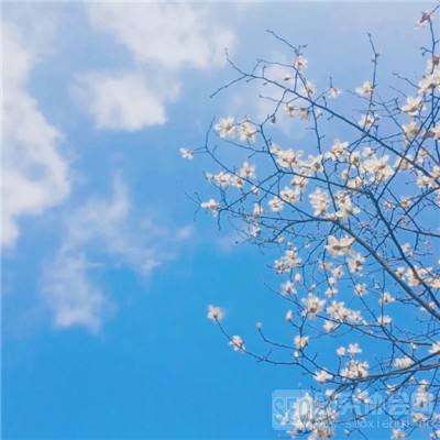 皇冠体育安卓app